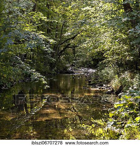 River Ruhr, Steinhelle, Olsberg, Sauerland, North Rhine-Westphalia, Germany, Europe View Large Photo Image Stock Photo - River Ruhr, Steinhelle, Olsberg, Sauerland, North Rhine-Westphalia, Germany, Europe. Fotosearch