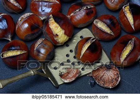 Roasted chestnuts ( Castanea sativa) with trowel View Large Photo Image Stock Image - Roasted chestnuts ( Castanea sativa) with trowel. Fotosearch