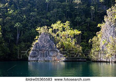 Rock Islands in the Strait of (Iris), Triton Bay, West Papua, Indonesia, Asia View Large Photo Image Stock Image - Rock Islands in the Strait of (Iris), Triton Bay, West Papua, Indonesia, Asia. Fotosearch