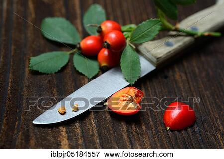 Rose hips with kitchen knife, halved, sliced View Large Photo Image Stock Photo - Rose hips with kitchen knife, halved, sliced. Fotosearch