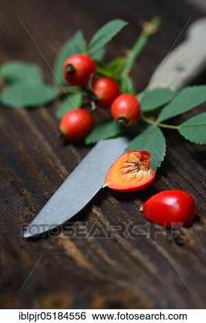 Rose hips with kitchen knife, halved, sliced View Large Photo Image Stock Photograph - Rose hips with kitchen knife, halved, sliced. Fotosearch