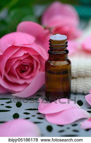 Rose oil, bottle and rose petals, rose oil View Large Photo Image Stock Photo - Rose oil, bottle and rose petals, rose oil. Fotosearch