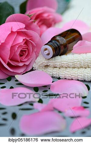 Rose oil, bottle and rose petals, rose oil View Large Photo Image Stock Photograph - Rose oil, bottle and rose petals, rose oil. Fotosearch