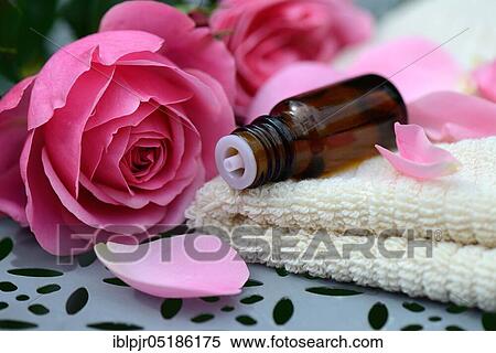 Rose oil, bottle and rose petals, rose oil View Large Photo Image Stock Photography - Rose oil, bottle and rose petals, rose oil. Fotosearch