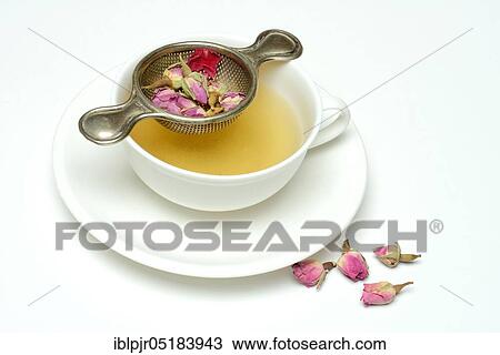 Stock Image - Rose tea in cup and rose buds, rose blossom tea, rose bud tea. Fotosearch