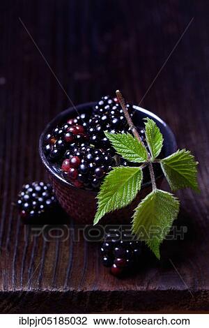 Rubus fruticosus ( Rubus fruticosus) View Large Photo Image Stock Image - Rubus fruticosus ( Rubus fruticosus). Fotosearch