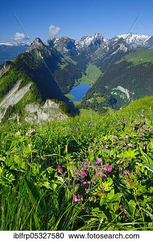 Stock Image - Saemtisersee, Hoher Kasten, Appenzell and St. Gallen, Switzerland, Sämtisersee, Europe. Fotosearch