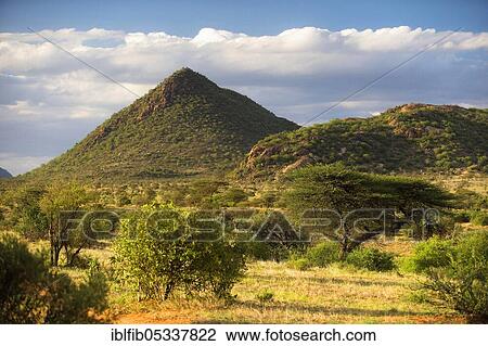 Samburu National Reserve, during the rainy season, Kenya, Africa View Large Photo Image Stock Image - Samburu National Reserve, during the rainy season, Kenya, Africa. Fotosearch