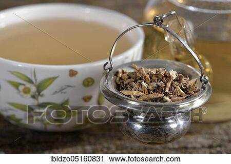 Stock Image - Sarsaparilla roots (Radix sarsaparillae) (Sarsaparilla), American sarsaparilla, Grey sarsaparilla, Mexican sarsaparilla, Red sarsaparilla. Fotosearch