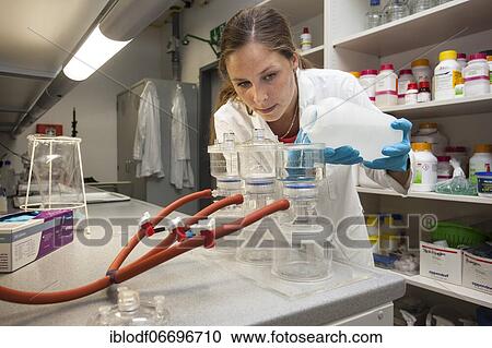 Stock Image - Scientist of biology at a laboratory filter unit in the genetic engineering section of the laboratories of the University of Duisburg-Essen. Fotosearch
