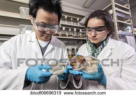 Scientists examine samples in the fungus room at the Institute for Pharmaceutical Biology and Biotechnology at Heinrich Heine University Düsseldorf, North Rhine-Westphalia, Germany, Europe View Large Photo Image Stock Photo - Scientists examine samples in the fungus room at the Institute for Pharmaceutical Biology and Biotechnology at Heinrich Heine University Düsseldorf, North Rhine-Westphalia, Germany, Europe. Fotosearch