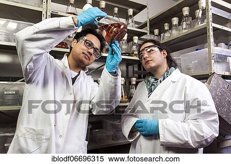 Scientists examine samples in the fungus room at the Institute for Pharmaceutical Biology and Biotechnology at Heinrich Heine University Düsseldorf, North Rhine-Westphalia, Germany, Europe View Large Photo Image Stock Photography - Scientists examine samples in the fungus room at the Institute for Pharmaceutical Biology and Biotechnology at Heinrich Heine University Düsseldorf, North Rhine-Westphalia, Germany, Europe. Fotosearch