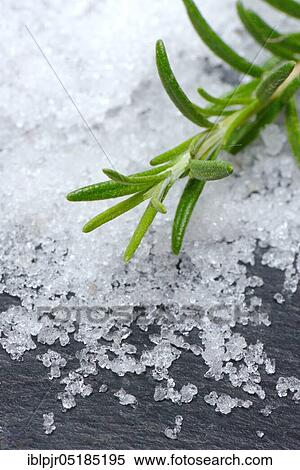 Sea salt and rosemary twig, salt, rosemary, rosemary salt, bath salt, bath additive View Large Photo Image Stock Photography - Sea salt and rosemary twig, salt, rosemary, rosemary salt, bath salt, bath additive. Fotosearch