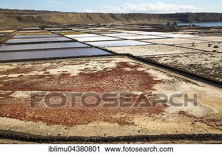 Sea salt production, Salinas de Janubio, Lanzarote, Canary Islands, Spain, Europe View Large Photo Image Stock Image - Sea salt production, Salinas de Janubio, Lanzarote, Canary Islands, Spain, Europe. Fotosearch