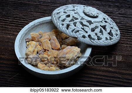 Shorea robustaresin (Shorea robusta), salt resin, resin, incense, Ayurveda, -resin View Large Photo Image Stock Image - Shorea robustaresin (Shorea robusta), salt resin, resin, incense, Ayurveda, -resin. Fotosearch