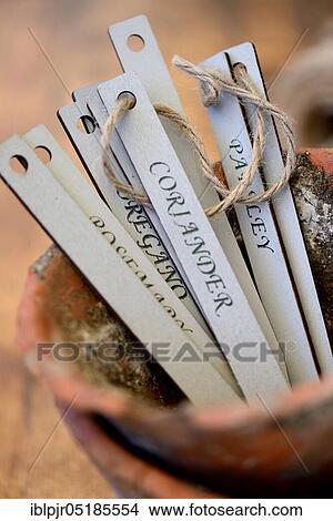 Picture - Signs in clay pot, plant inscriptions, plant labels. Fotosearch