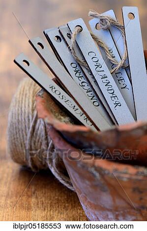Stock Image - Signs in clay pot, plant inscriptions, plant labels. Fotosearch