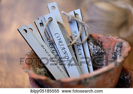 Signs in clay pot, plant inscriptions, plant labels View Large Photo Image Stock Photography - Signs in clay pot, plant inscriptions, plant labels. Fotosearch