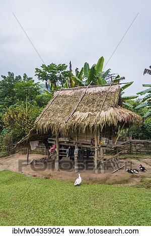 Simple house, hut, Khmu Minority Village, Ban Nalan Tai, Nam Ha National Park, Luang Namtha, Laos, Asia View Large Photo Image Picture - Simple house, hut, Khmu Minority Village, Ban Nalan Tai, Nam Ha National Park, Luang Namtha, Laos, Asia. Fotosearch