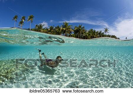 Snorkeling in front of Palm Island, Fadol, Kai Islands, Moluccas, Indonesia, Asia View Large Photo Image Stock Image - Snorkeling in front of Palm Island, Fadol, Kai Islands, Moluccas, Indonesia, Asia. Fotosearch