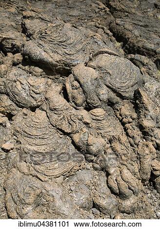 Solidified pahoehoe or ropey lava field, Tahiche, Lanzarote, Canary Islands, Spain, Europe View Large Photo Image Stock Image - Solidified pahoehoe or ropey lava field, Tahiche, Lanzarote, Canary Islands, Spain, Europe. Fotosearch