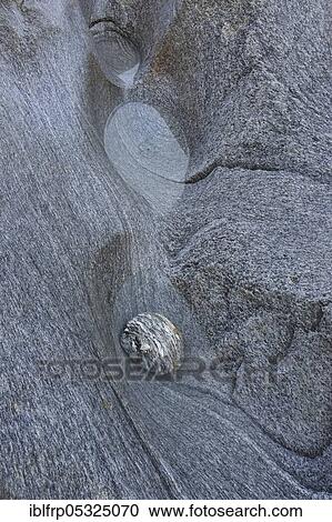 Steindetail, Ticino, Switzerland, Europe View Large Photo Image Stock Image - Steindetail, Ticino, Switzerland, Europe. Fotosearch