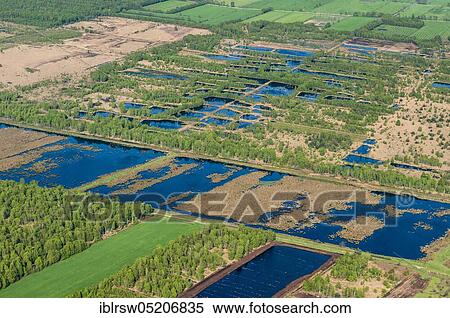 Steinfelder Moor, County of Vechta, Lower Saxony, Germany, Europe View Large Photo Image Stock Photography - Steinfelder Moor, County of Vechta, Lower Saxony, Germany, Europe. Fotosearch