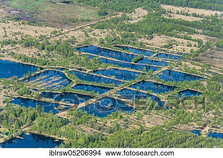 Picture - Steinfelder Moor, Steinfeld, County Vechta, Lower Saxony, Germany, Europe. Fotosearch