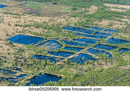 Stock Photography - Steinfelder Moor, Steinfeld, County Vechta, Lower Saxony, Germany, Europe. Fotosearch