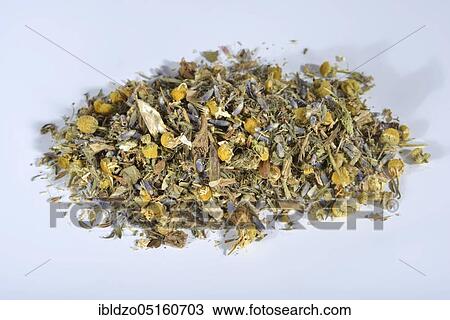 Stomach tea, Benedict's herb (centaury), Camomile, Camomile flowers, Thyme leaves, Caraway, Aniseed, Aniseed, Lavender flowers, Cnicus benedictus, Centaurium erythraea, Matricaria chamomilla, Thymus pulegioides, Carum carvi, P View Large Photo Image Stock Image - Stomach tea, Benedict's herb (centaury), Camomile, Camomile flowers, Thyme leaves, Caraway, Aniseed, Aniseed, Lavender flowers, Cnicus benedictus, Centaurium erythraea, Matricaria chamomilla, Thymus pulegioides, Carum carvi, P. Fotosearch