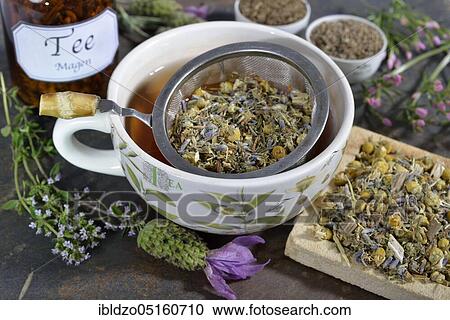 Stock Image - Stomach tea, Cnicus (Cnicus benedictus), Centaurium pulchellum, chamomile, chamomile flowers, thyme leaves, fruits, Caraway, aniseed fruits, aniseed, lavender flowers (Centaurium erythraea) (Matricaria chamomilla), Thymus pulegioides (Carum carvi). Fotosearch