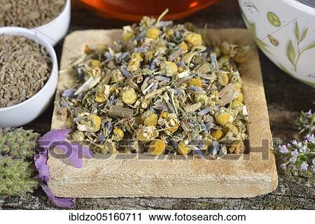 Stock Image - Stomach tea, Cnicus (Cnicus benedictus), Centaurium pulchellum, chamomile, chamomile flowers, thyme leaves, fruits, Caraway, aniseed fruits, aniseed, lavender flowers (Centaurium erythraea) (Matricaria chamomilla), Thymus pulegioides (Carum carvi). Fotosearch