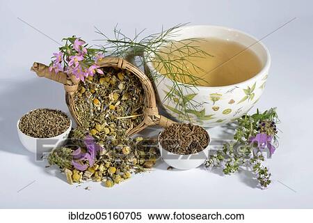 Stomach tea, Cnicus (Cnicus benedictus), Centaurium pulchellum, chamomile, chamomile flowers, thyme leaves, fruits, Caraway, aniseed fruits, aniseed, lavender flowers (Centaurium erythraea) (Matricaria chamomilla), Thymus pulegioides (Carum carvi) View Large Photo Image Stock Photography - Stomach tea, Cnicus (Cnicus benedictus), Centaurium pulchellum, chamomile, chamomile flowers, thyme leaves, fruits, Caraway, aniseed fruits, aniseed, lavender flowers (Centaurium erythraea) (Matricaria chamomilla), Thymus pulegioides (Carum carvi). Fotosearch