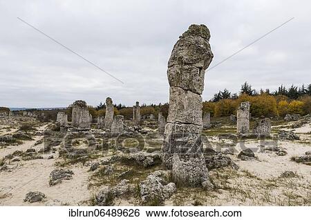 Stone desert Pobiti Kamani rock phenomenon, near Varna, Bulgaria, Europe View Large Photo Image Stock Photograph - Stone desert Pobiti Kamani rock phenomenon, near Varna, Bulgaria, Europe. Fotosearch
