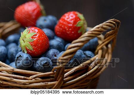 Strawberries and blueberries ( Fragaria x ananassa) ( Vaccinium myrtillus) View Large Photo Image Stock Photography - Strawberries and blueberries ( Fragaria x ananassa) ( Vaccinium myrtillus). Fotosearch
