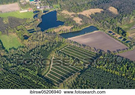 Stock Image - Stüvenmühle, Visbeker Baeken, Visbek, district of Vechta, Lower Saxony, Germany, Europe. Fotosearch