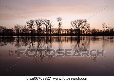 Sunrise at the Altrhein with nature reserve Bislicher Insel, Xanten, Lower Rhine, Ruhr Area, North Rhine-Westphalia, Germany, Europe View Large Photo Image Stock Photo - Sunrise at the Altrhein with nature reserve Bislicher Insel, Xanten, Lower Rhine, Ruhr Area, North Rhine-Westphalia, Germany, Europe. Fotosearch