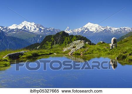 Stock Photography - Swiss Alps, Mischabel Group, View from Huhfluh, Matterhorn, Weisshorn, Valais, Switzerland, Europe. Fotosearch