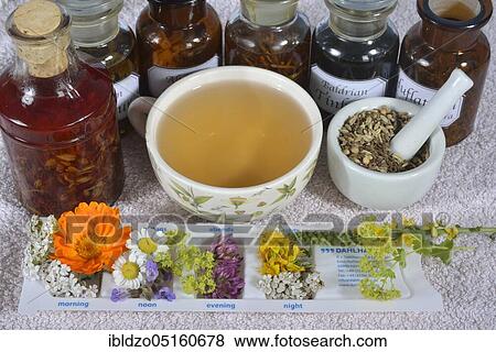 Stock Photo - Tablet box and medicinal plants. Fotosearch