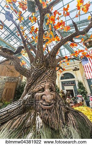 Talking Tree, Autumn, seasonal decorations, Autumn Harvest Display, Bellagio Hotel and Casino, Las Vegas, Nevada, USA, North America View Large Photo Image Stock Image - Talking Tree, Autumn, seasonal decorations, Autumn Harvest Display, Bellagio Hotel and Casino, Las Vegas, Nevada, USA, North America. Fotosearch