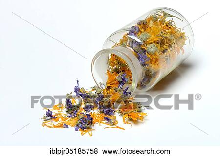 Tea mixture from dried Marigolds ( Calendula officinalis) and mallow blossoms ( Malva sylvestris) View Large Photo Image Stock Photo - Tea mixture from dried Marigolds ( Calendula officinalis) and mallow blossoms ( Malva sylvestris). Fotosearch