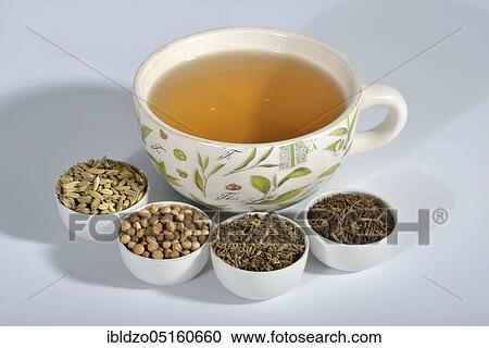 Tea of the Four Winds, aniseed (Pimpinella anisum), aniseed, fennel seeds (Foeniculum vulgare), fennel, caraway seeds, caraway, coriander seeds (Coriandrum sativum), coriander, caraway seeds (Carum carvi) View Large Photo Image Stock Image - Tea of the Four Winds, aniseed (Pimpinella anisum), aniseed, fennel seeds (Foeniculum vulgare), fennel, caraway seeds, caraway, coriander seeds (Coriandrum sativum), coriander, caraway seeds (Carum carvi). Fotosearch