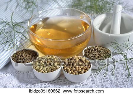 Tea of the Four Winds, aniseed (Pimpinella anisum), aniseed, fennel seeds (Foeniculum vulgare), fennel, caraway seeds, caraway, coriander seeds (Coriandrum sativum), coriander, caraway seeds (Carum carvi) View Large Photo Image Stock Image - Tea of the Four Winds, aniseed (Pimpinella anisum), aniseed, fennel seeds (Foeniculum vulgare), fennel, caraway seeds, caraway, coriander seeds (Coriandrum sativum), coriander, caraway seeds (Carum carvi). Fotosearch