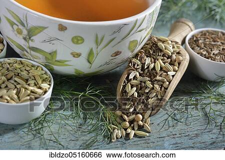 Tea of the Four Winds, aniseed (Pimpinella anisum), aniseed, fennel seeds (Foeniculum vulgare), fennel, caraway seeds, caraway, coriander seeds (Coriandrum sativum), coriander, caraway seeds (Carum carvi) View Large Photo Image Stock Photograph - Tea of the Four Winds, aniseed (Pimpinella anisum), aniseed, fennel seeds (Foeniculum vulgare), fennel, caraway seeds, caraway, coriander seeds (Coriandrum sativum), coriander, caraway seeds (Carum carvi). Fotosearch