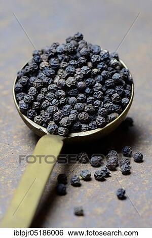 Tellicherry pepper in brass ladle View Large Photo Image Stock Photograph - Tellicherry pepper in brass ladle. Fotosearch