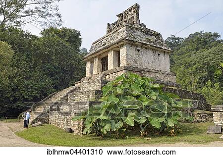 Temple Templo del Sol, Mayan ruins, Palenque, UNESCO World Heritage Site, Palenque, the federal state of Chiapas, Mexico, Central America View Large Photo Image Stock Image - Temple Templo del Sol, Mayan ruins, Palenque, UNESCO World Heritage Site, Palenque, the federal state of Chiapas, Mexico, Central America. Fotosearch