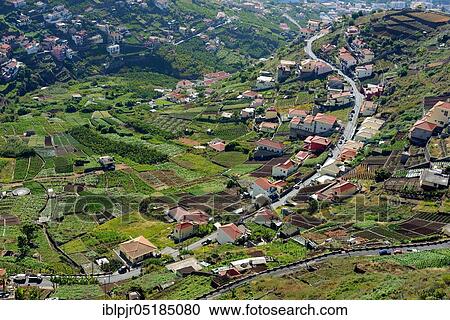 Stock Image - Terraced fields near Camara de Lobos, Madeira, Portugal, Europe. Fotosearch