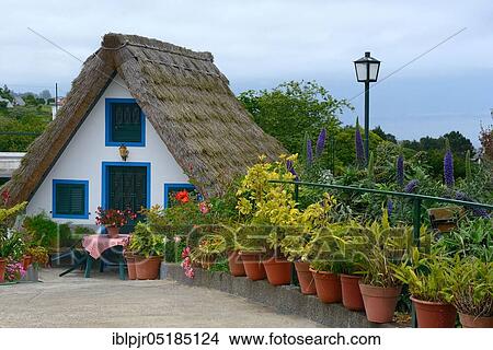 Picture - Thatched House in Santana, Casas Colmo, Santana House, Santana Houses, Madeira, Portugal, Europe. Fotosearch