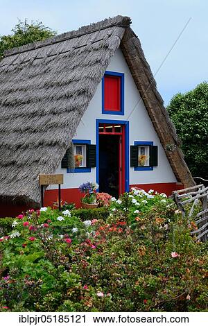 Thatched House in Santana, Casas Colmo, Santana House, Santana Houses, Madeira, Portugal, Europe View Large Photo Image Stock Image - Thatched House in Santana, Casas Colmo, Santana House, Santana Houses, Madeira, Portugal, Europe. Fotosearch