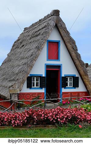 Thatched House in Santana, Casas Colmo, Santana House, Santana Houses, Madeira, Portugal, Europe View Large Photo Image Stock Image - Thatched House in Santana, Casas Colmo, Santana House, Santana Houses, Madeira, Portugal, Europe. Fotosearch